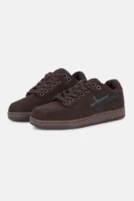 District V6 Brown s